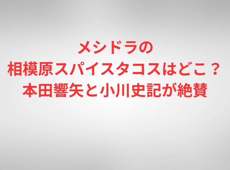メシドラの相模原スパイスタコスはどこ？本田響矢と小川史記が絶賛