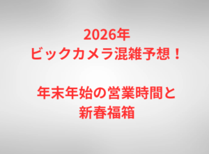 2026年ビックカメラ混雑予想！年末年始の営業時間と新春福箱