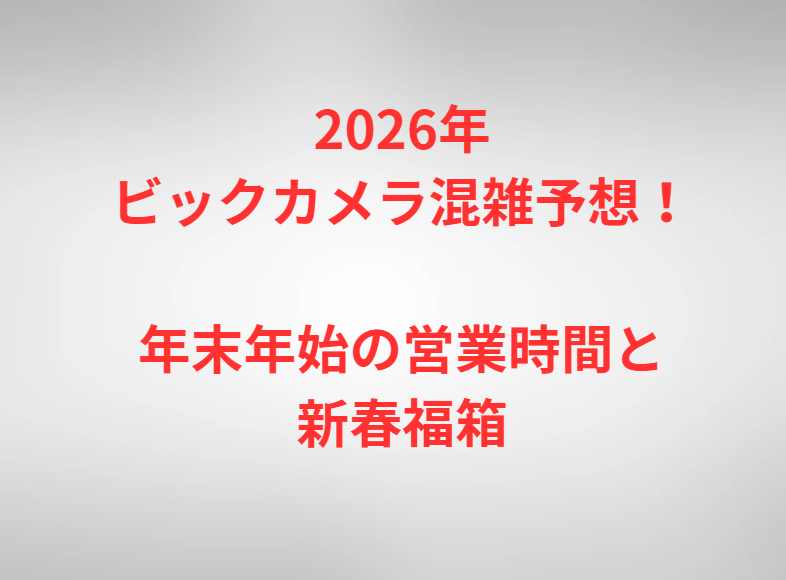 2026年ビックカメラ混雑予想！年末年始の営業時間と新春福箱