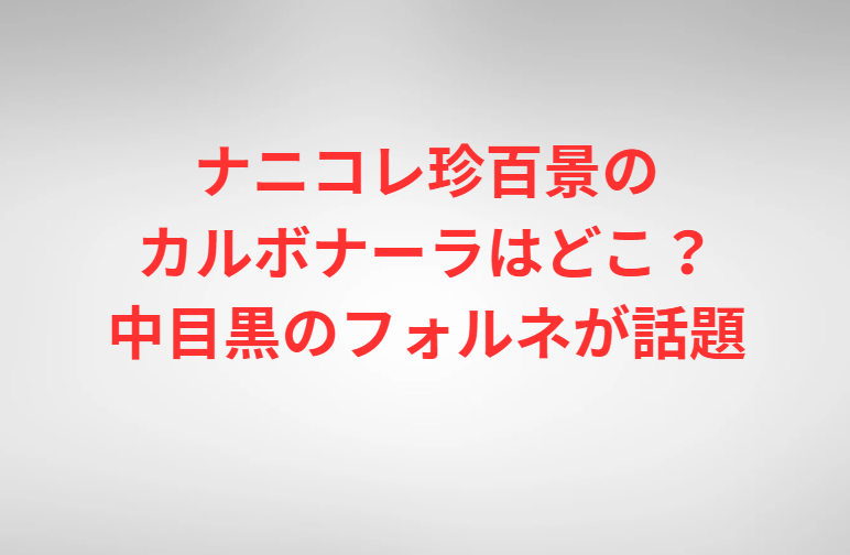 ナニコレ珍百景のカルボナーラはどこ？中目黒のフォルネが話題
