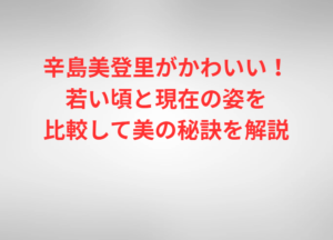 辛島美登里がかわいい！若い頃と現在の姿を比較して美の秘訣を解説