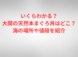 いくらわかる？大間の天然本まぐろ丼はどこ？海の場所や値段を紹介