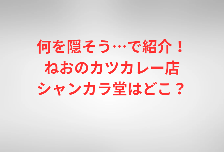何を隠そう…で紹介！ねおのカツカレー店シャンカラ堂はどこ？