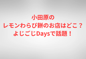 小田原のレモンわらび餅のお店はどこ？よじごじDaysで話題！