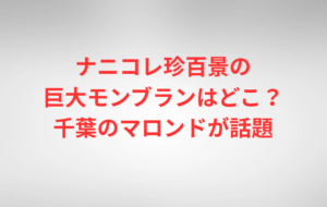 ナニコレ珍百景の巨大モンブランはどこ？千葉のマロンドが話題