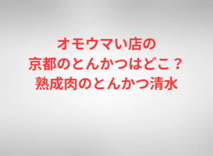 オモウマい店の京都のとんかつはどこ？熟成肉のとんかつ清水