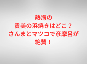 熱海の貴美の浜焼きはどこ？さんまとマツコで彦摩呂が絶賛！