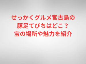 せっかくグルメ宮古島の豚足てびちはどこ？宝の場所や魅力を紹介
