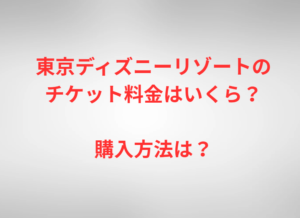 東京ディズニーリゾートのチケット料金はいくら？購入方法は？