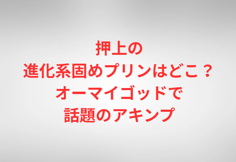 押上の進化系固めプリンはどこ？オーマイゴッドで話題のアキンプ