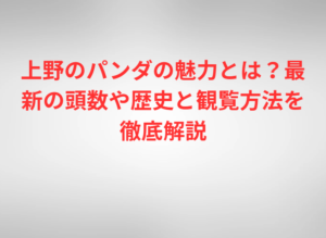 上野のパンダの魅力とは?最新の頭数や歴史と観覧方法を徹底解説