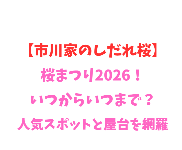 【市川家のしだれ桜】桜まつり2026！いつからいつまで？人気スポットを網羅