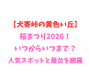 【犬寄峠の黄色い丘】桜まつり2026！いつからいつまで？人気を網羅