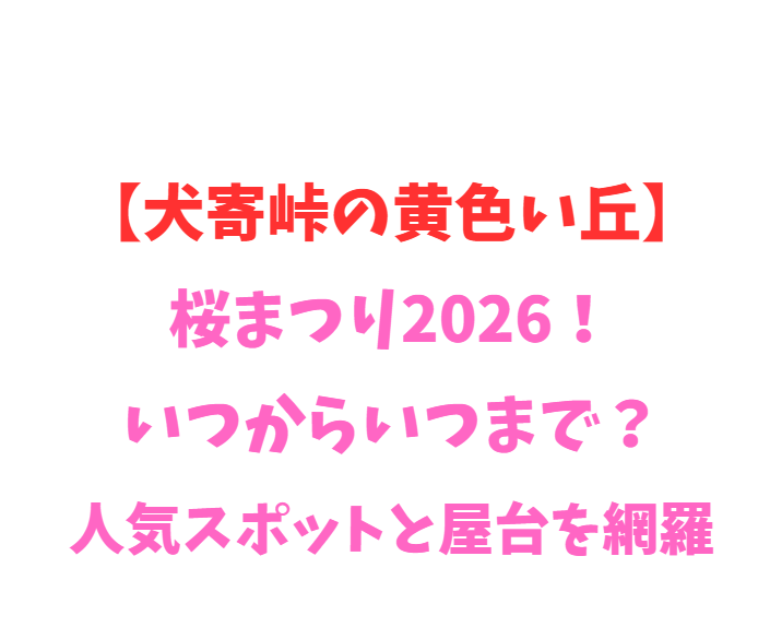 【犬寄峠の黄色い丘】桜まつり2026！いつからいつまで？人気を網羅