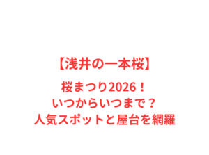 【浅井の一本桜】桜まつり2026!いつからいつまで?人気スポットと屋台を網羅