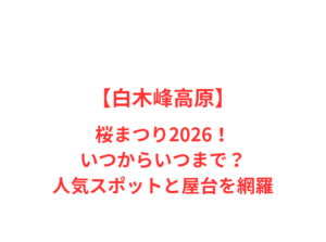 【白木峰高原】桜まつり2026！いつからいつまで？人気スポットと屋台を網羅