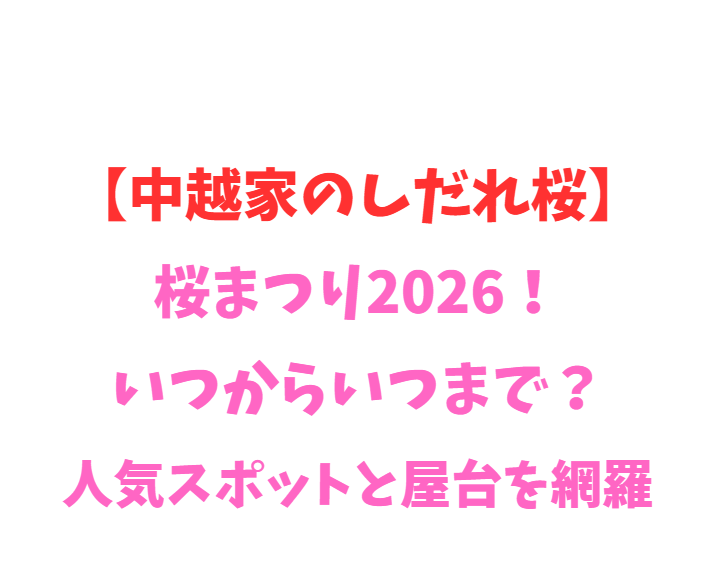 【中越家のしだれ桜】桜まつり2026！いつからいつまで？人気スポットを網羅