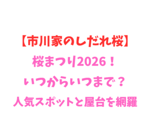 【市川家のしだれ桜】桜まつり2026！いつからいつまで？人気スポットを網羅