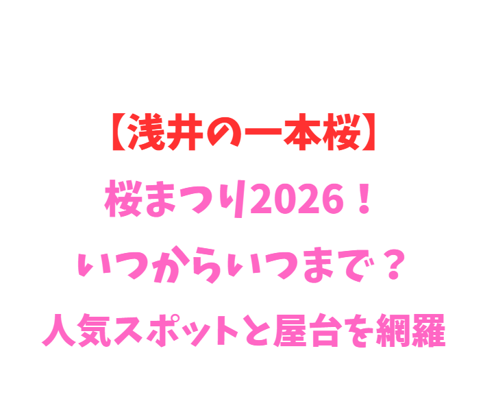 【浅井の一本桜】桜まつり2026！いつからいつまで？人気スポットと屋台を網羅