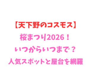 【天下野のコスモス】桜まつり2026！いつから？人気スポットを網羅