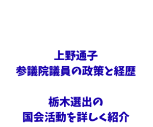 上野通子参議院議員の政策と経歴|栃木選出の国会活動を詳しく紹介