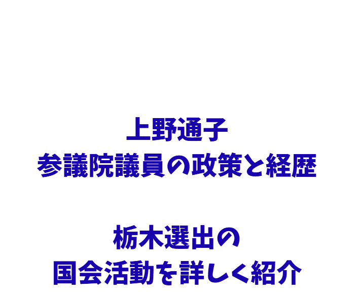 上野通子参議院議員の政策と経歴｜栃木選出の国会活動を詳しく紹介