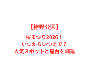 【神野公園】桜まつり2026！いつからいつまで？人気スポットと屋台を網羅