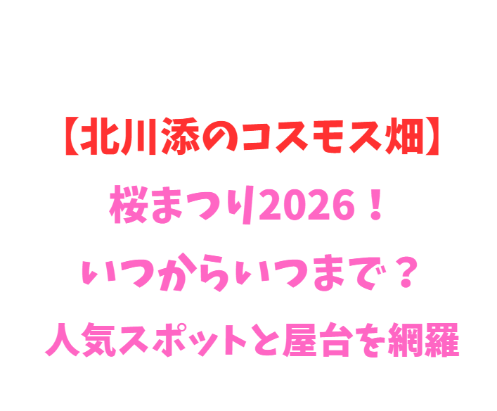 【北川添のコスモス畑】桜まつり2026！いつからいつまで？人気スポットを網羅