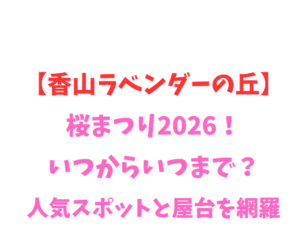 【香山ラベンダーの丘】桜まつり2026！いつからいつまで？人気スポットと屋台を網羅
