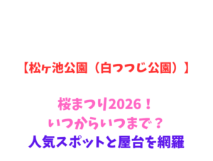【松ヶ池公園(白つつじ公園)】桜まつり2026!いつからいつまで?人気スポットと屋台を網羅