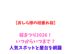【おしら様の枝垂れ桜】桜まつり2026！いつからいつまで？人気スポットと屋台を網羅