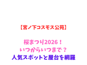 【宮ノ下コスモス公苑】桜まつり2026！いつからいつまで？人気スポットを網羅