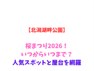 【北潟湖畔公園】桜まつり2026！いつからいつまで？人気スポットを網羅