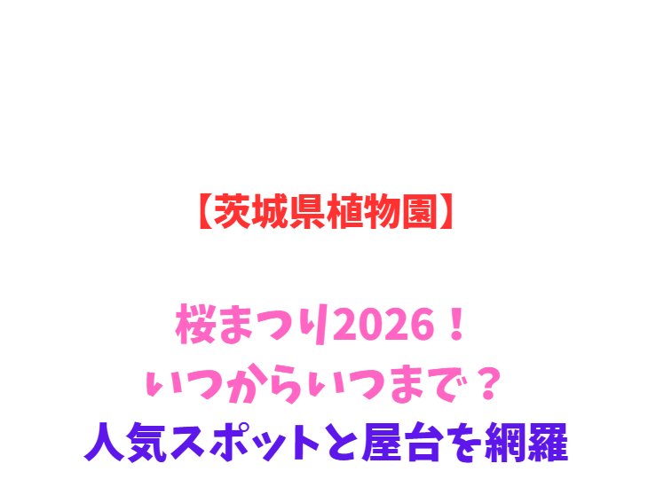 【茨城県植物園】桜まつり2026！いつからいつまで？人気スポットと屋台を網羅