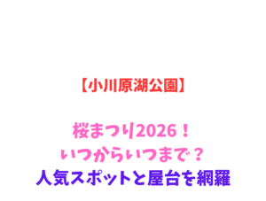 【小川原湖公園】桜まつり2026！いつからいつまで？人気スポットと屋台を網羅