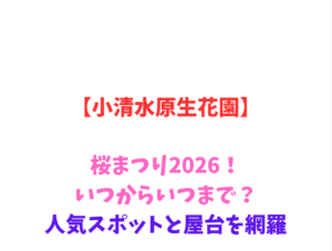 【小清水原生花園】桜2026！いつからいつまで？人気スポットと屋台を網羅