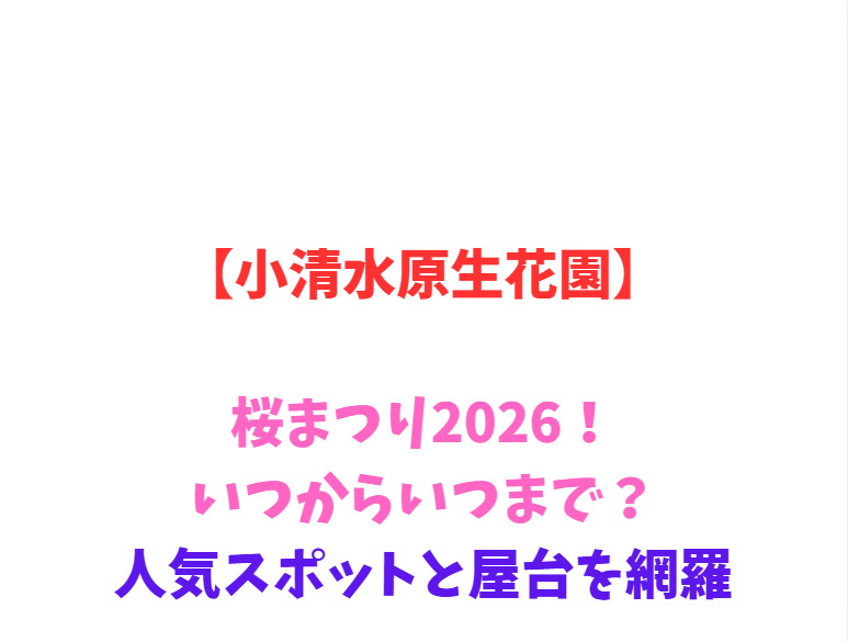 【小清水原生花園】桜2026！いつからいつまで？人気スポットと屋台を網羅