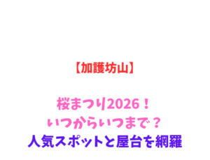 【加護坊山】桜まつり2026！いつからいつまで？人気スポットと屋台を網羅
