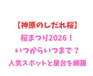 【神原のしだれ桜】桜まつり2026！いつからいつまで？人気スポットと屋台を網羅