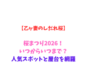 【乙ヶ妻のしだれ桜】桜まつり2026！いつからいつまで？人気スポットと屋台を網羅