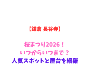 【鎌倉 長谷寺】桜まつり2026！いつからいつまで？人気スポットを網羅