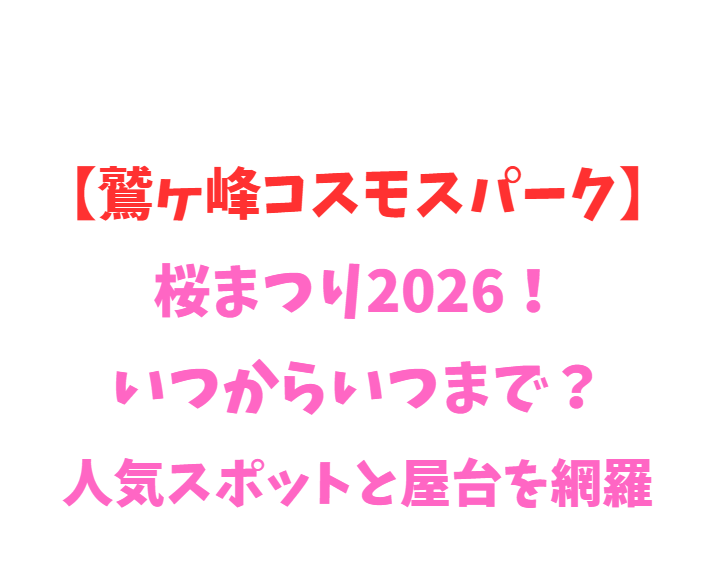 【鷲ヶ峰コスモスパーク】桜まつり2026！いつからいつまで？人気スポットと屋台を網羅