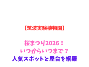 【筑波実験植物園】桜まつり2026!いつからいつまで?人気スポットと屋台を網羅