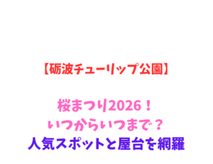 【砺波チューリップ公園】桜まつり2026！いつからいつまで？人気スポットと屋台を網羅