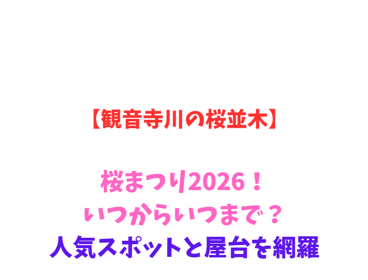 【観音寺川の桜並木】桜まつり2026！いつからいつまで？人気スポットと屋台を網羅