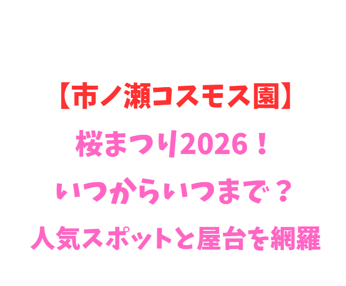【市ノ瀬コスモス園】桜まつり2026！いつからいつまで？人気スポットを網羅
