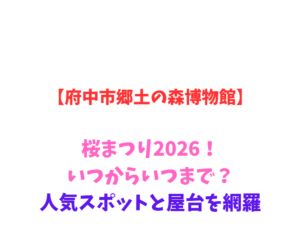 【府中市郷土の森博物館】桜まつり2026！いつからいつまで？人気スポットと屋台を網羅