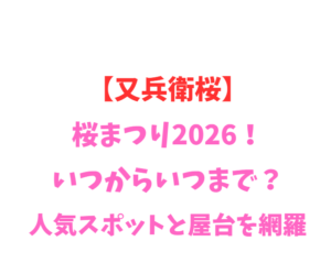 【又兵衛桜】桜まつり2026！いつからいつまで？人気スポットと屋台を網羅