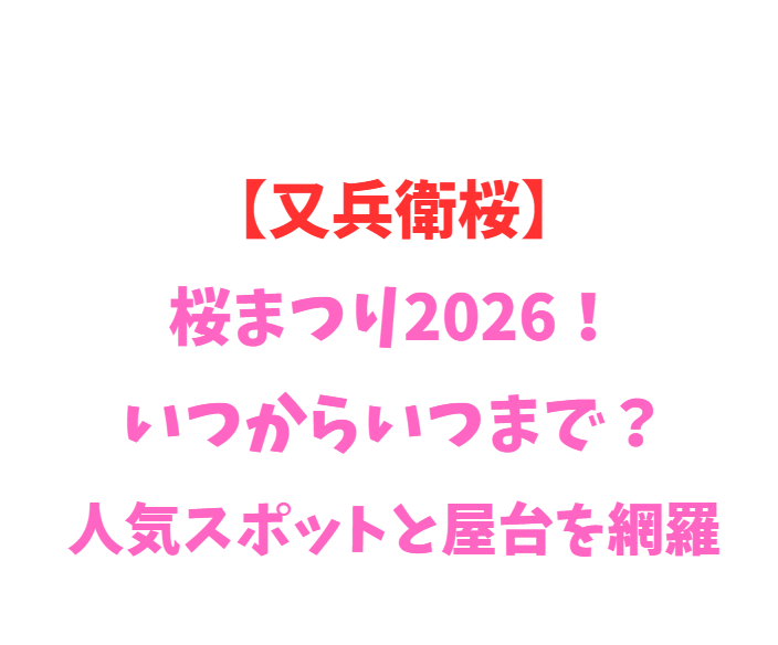 【又兵衛桜】桜まつり2026！いつからいつまで？人気スポットと屋台を網羅