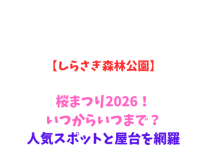 【しらさぎ森林公園】桜まつり 2026！いつからいつまで？人気スポットと屋台を網羅